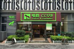 喵鹉club0