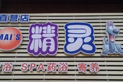 精灵狗宠物店1