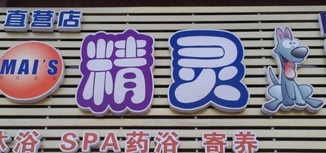 精灵狗宠物店1