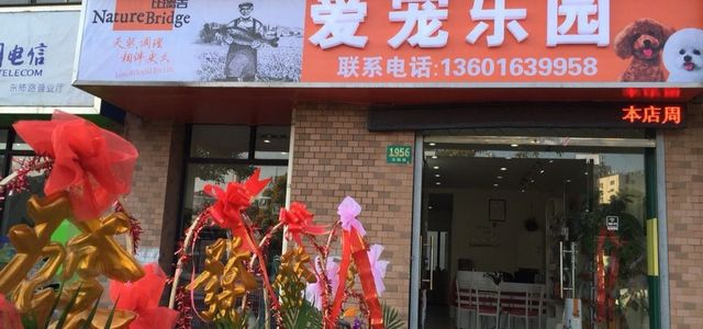 爱宠乐园宠物0