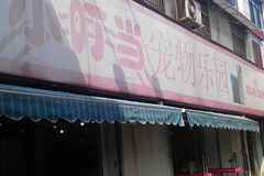 小叮当宠物乐园(曲阳路店)3