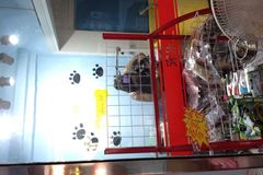 宠乐汇宠物用品店0
