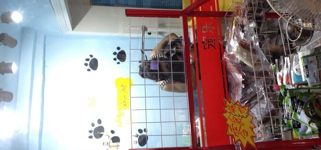 宠乐汇宠物用品店0