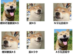 ：暗黑III全职业玩家啊