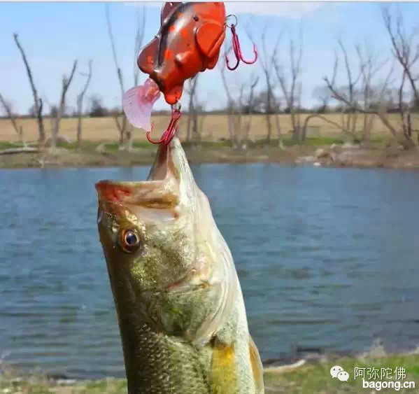 【震撼】为什么经常钓鱼的人都不长寿1