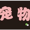 小红宠物馆