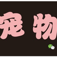 小红宠物馆 封面小图