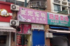 麦兜宠物生活会所1