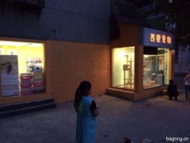 西橙宠物(桃园东路店) 封面大图