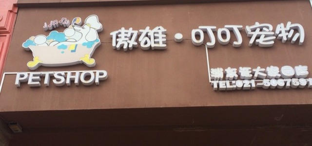 傲雄•叮叮宠物(叮叮宠物❨巨峰路店❩)0