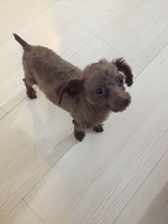 Cora：我是Cora，喜欢就点个赞喽