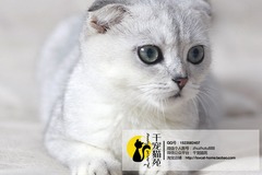 宠乐会(南丹店)5