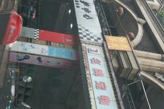 名牌宠物1