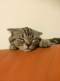 ：睡相~