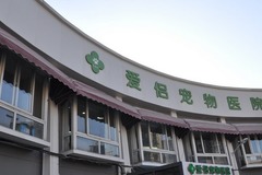 爱侣宠物医院(灵石路总店)0