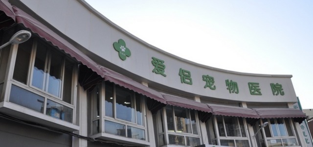 爱侣宠物医院(灵石路总店)0