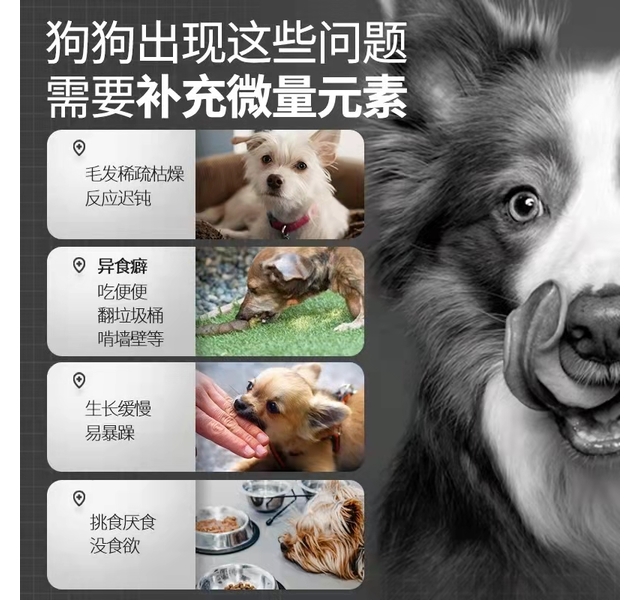 谷登 犬用 微量元素片 200片