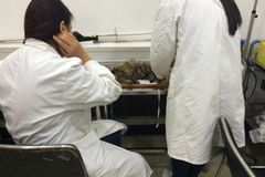 威利固德宠物医院环境1