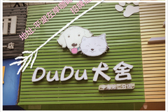 DuDu宠舍4