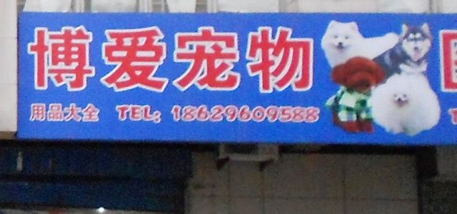 博爱宠物医院0