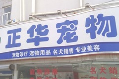 正华宠物店0