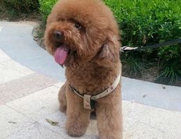 有人在城北路回中家属院鑫达小区...