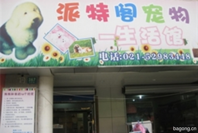派特阁宠物 封面大图
