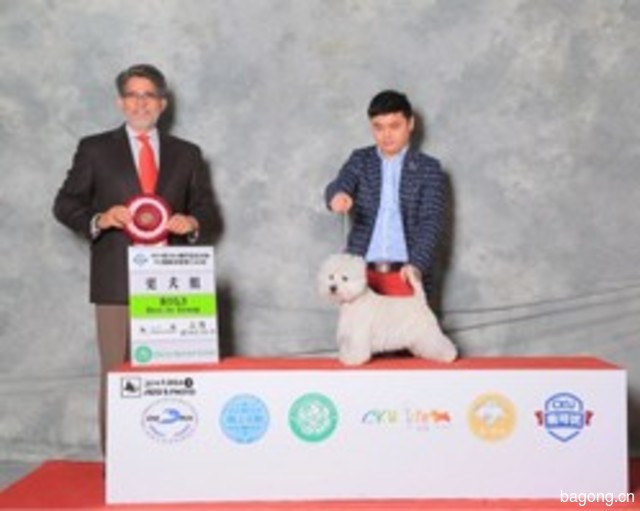 高非犬舍 封面大图