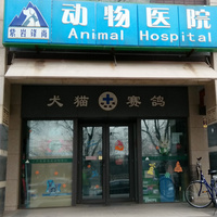 北京紫岩锋尚动物医院 封面小图