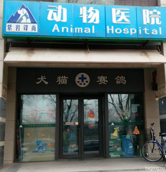 北京紫岩锋尚动物医院 封面大图