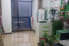 沃狗宠物美容工作室2