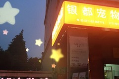 银都宠物店0