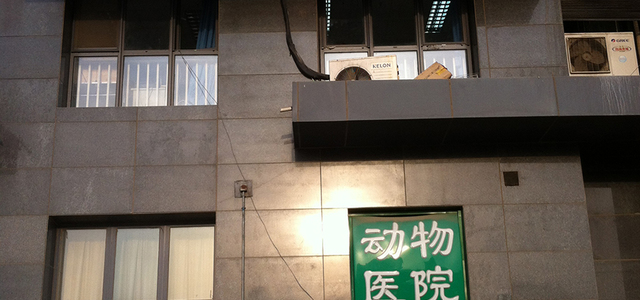 北京威卡动物医院(朝阳店)0