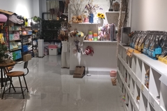 花猫宠物生活馆0