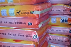 鑫鑫宠物店2