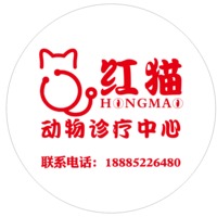 红猫动物诊疗中心 封面小图