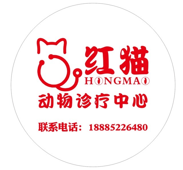 红猫动物诊疗中心 封面大图