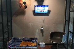毛孩子宠物6