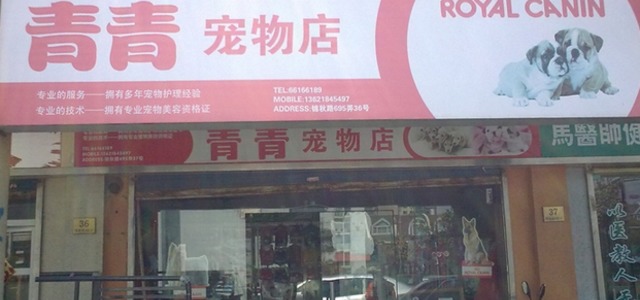 青青宝贝宠物店0