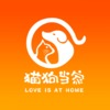 猫狗当家