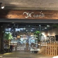 Canil狗窝宠物美容工作室 封面小图