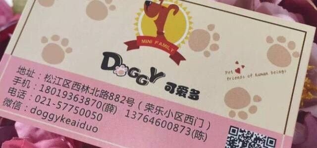 Doggy可爱多0