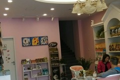 私宠宠物会所（它它店）1