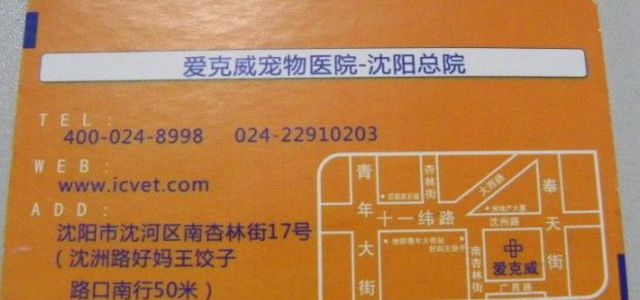 爱克威宠物医院1