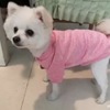 狗狗于2018年4月30日晚18:00左右...