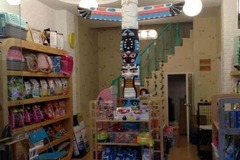 傲雄叮叮宠物美容(御桥路店)5