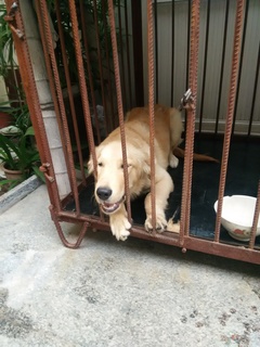 lucky：lucky_1414022000