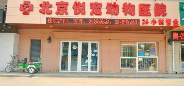 北京悦宠动物医院1