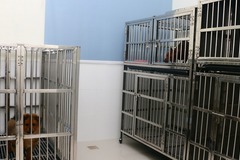 派多格宠物(白银路店)6