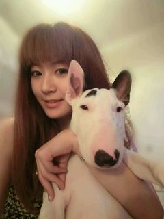 ：我和我的丑头梗❤